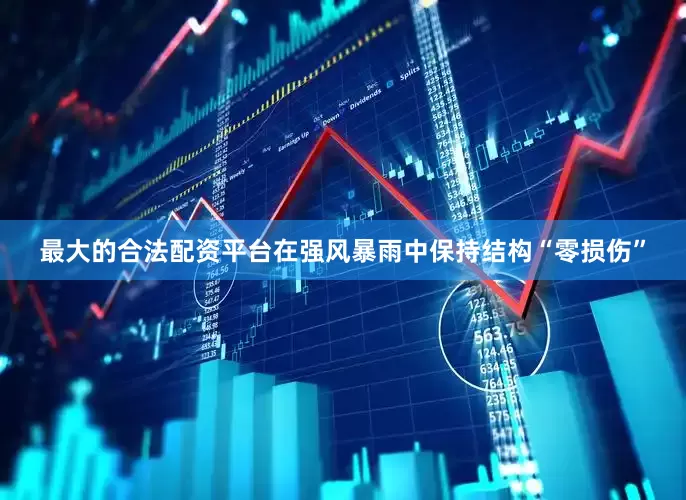 最大的合法配资平台在强风暴雨中保持结构“零损伤”
