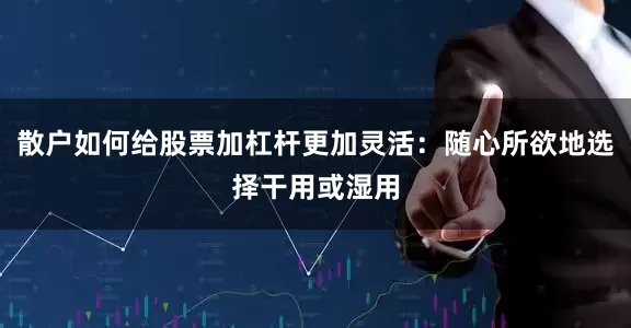 散户如何给股票加杠杆更加灵活：随心所欲地选择干用或湿用