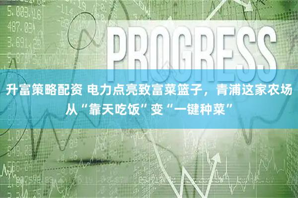 升富策略配资 电力点亮致富菜篮子，青浦这家农场从“靠天吃饭”变“一键种菜”