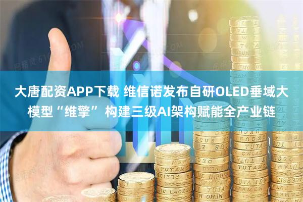 大唐配资APP下载 维信诺发布自研OLED垂域大模型“维擎” 构建三级AI架构赋能全产业链